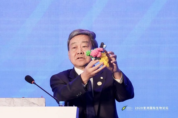 【大咖说】饶子和院士披露重要技术路径：如何率先发现新冠病毒关键药物靶点