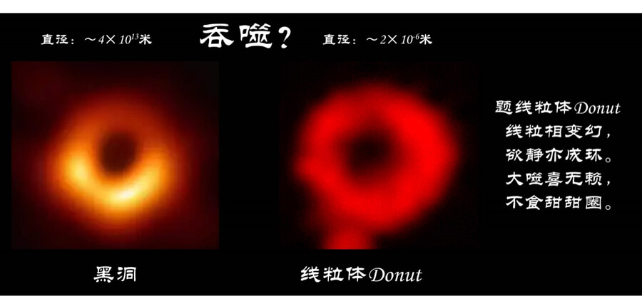微信图片_20190702112221 (1).jpg