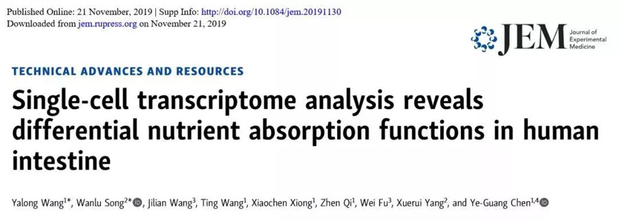 JEM | 科研团队合作揭示人不同肠段功能差异