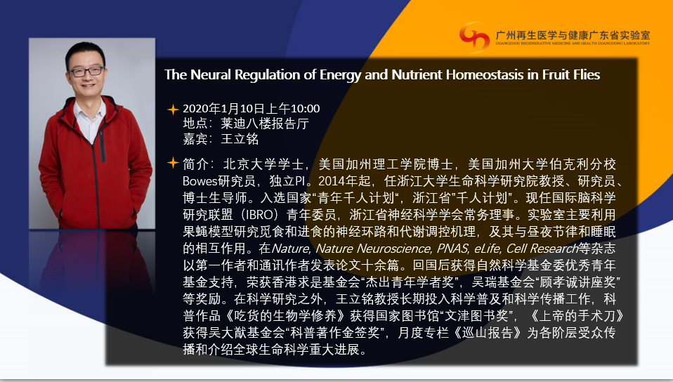 The Neural Regulation of Energy and Nutrient Homeostasis in Fruit Flies