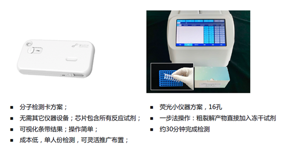 【进展】生物岛实验室发布新核酸方案：力争半小时完成检测 拓宽到社区家庭